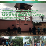 Article sur le projet dans ce journal camerounais en ligne